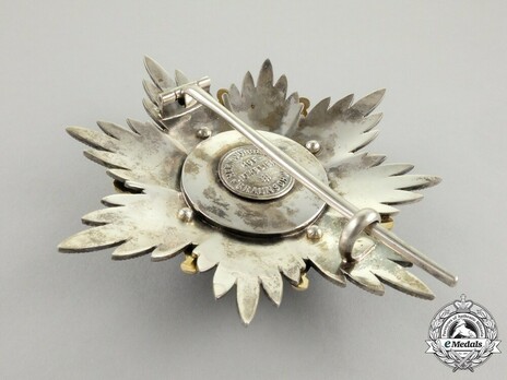 Dukely Order of Henry the Lion, Grand Cross Breast Star (in silver gilt) Pin