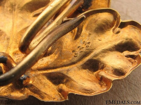 II Class Knight with Swords (with oak leaves, in silver gilt) Detail