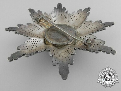 Grand Silver Breast Star Reverse