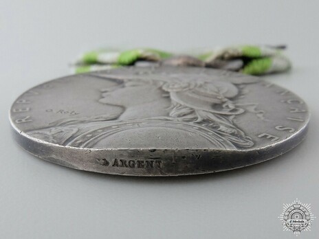 Silver Medal (with "1895" clasp, stamped "O.ROTY") Rim