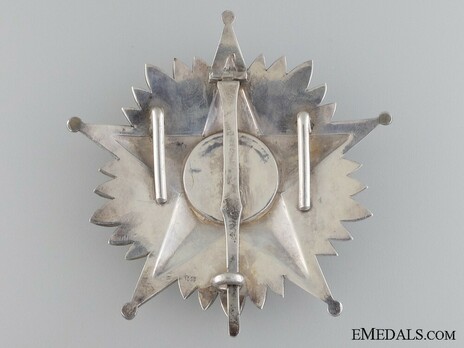 Grand Cross Breast Star Reverse 