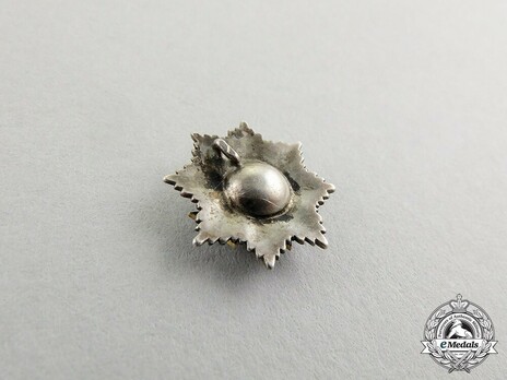 Order of Military Merit, Military Division, Grand Cross Breast Star Miniature Reverse