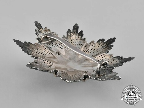 Order of Saint Sava, Type III, I Class Breast Star Reverse