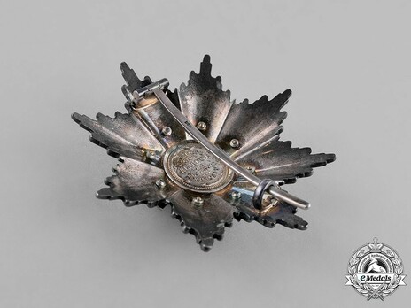 Order of Military Merit, II Class Cross Breast Star Reverse