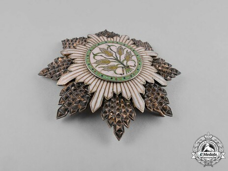 Order of the Golden Grain, I Class Star Obverse