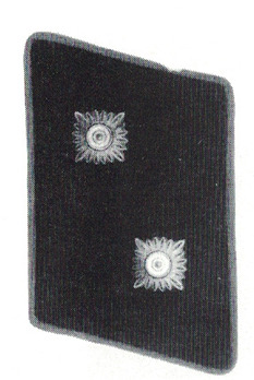 NSFK Truppführer Collar Tabs Obverse