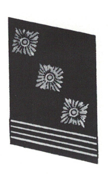 NSKK-Sturmhauptführer Collar Tabs Obverse