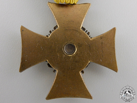 Type II, II Class (for 25 years with silver eagle) Reverse