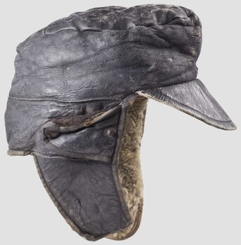 Luftwaffe NCO/EM Ranks Winter Visored Field Cap (dark leather version) Right