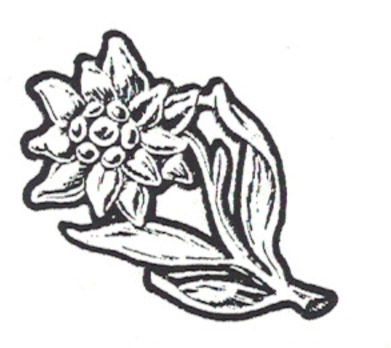 RAD Arbeitsgaue Austria Tradition Cap Badge Obverse