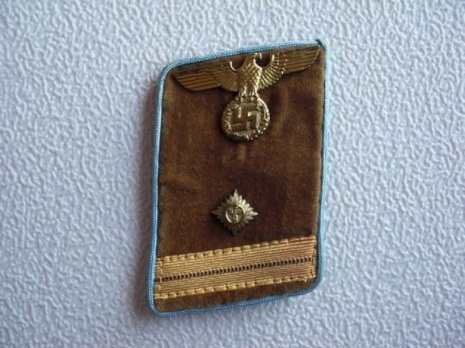 NSDAP Haupt-Arbeitsleiter Type IV Ort Level Collar Tabs Obverse