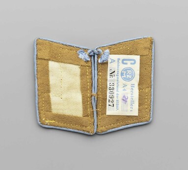 NSDAP Zellenleiter Type III Ort Level Collar Tabs Reverse
