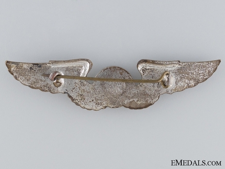 Basic Wings (with silvered bronze) Reverse