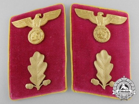 NSDAP Abschnittsleiter Type IV Reich Level Collar Tabs Obverse