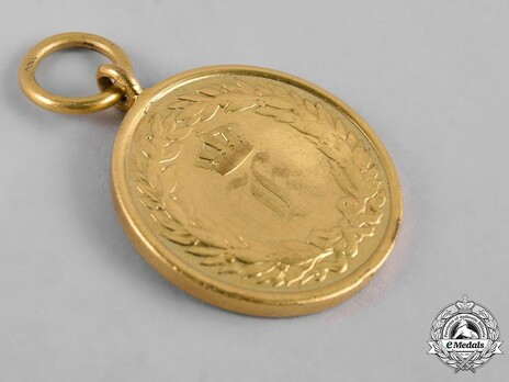 Campaign Medal, 1866 (for one campaign) Obverse