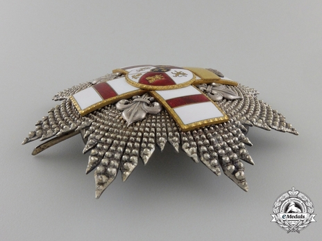 2nd Class Breast Star (white distinction pension) (with Fleur de Lys and Royal Crown) (Silver gilt) Obverse
