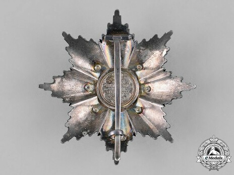 Order of Military Merit, II Class Cross Breast Star Reverse