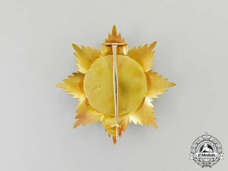 Order of Noble Bukhara, I Class, III Grade (version 1) Reverse