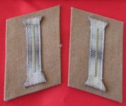 NSDAP Ortsgruppenleiter Type I Collar Tabs Obverse