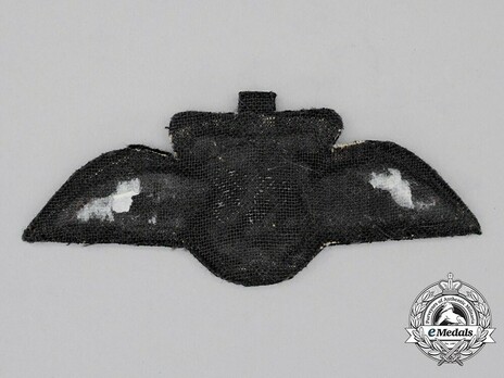 Air Force (ZAF) Pilot's Wing Reverse