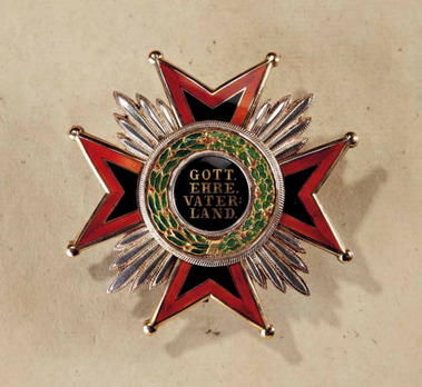 Order of Ludwig, Commander Breast Star Obverse
