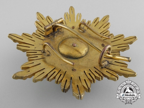 3rd Class Breast Star (white distinction) (with coat of arms of Castile and Leon, and Imperial Crown) Reverse