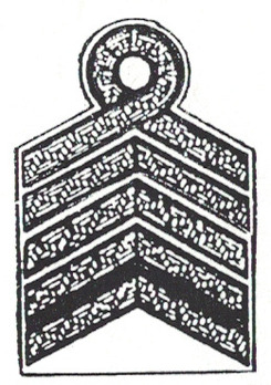 RAD Oberstgeneralarbeitsführer Sleeve Rank Insignia Obverse