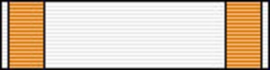 Officer (for Music, 2000-) Ribbon