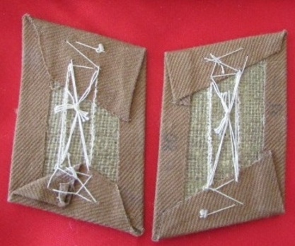 NSDAP Ortsgruppenleiter Type I Collar Tabs Reverse