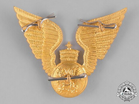 Imperial Ethiopian Air Force Cap Badge Reverse