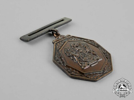 South African Railways Police Medal for Combating Terrorism Obverse