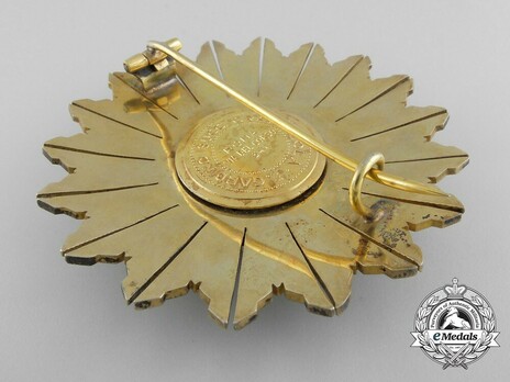 Grand Cross Breast Star (by E. Gardino) Reverse