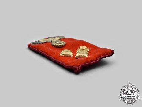 NSDAP Einsatzleiter Type IV Gau Level Collar Tabs Obverse