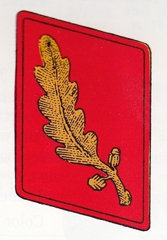 NSDAP Stellvertretender Gauleiter Type II Gau Level Collar Tabs Obverse