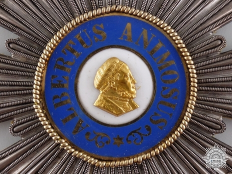 Albert Order, Type I, Civil Division, Grand Cross Breast Star (early form) Obverse