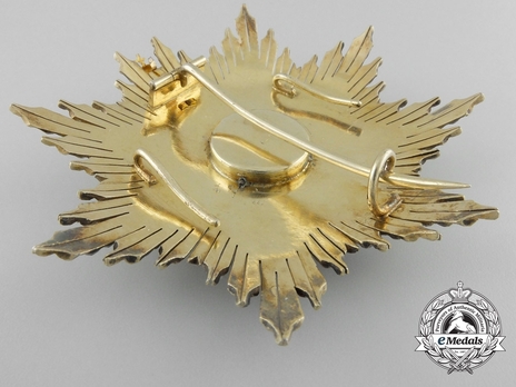 3rd Class Breast Star (white distinction) (1900) Reverse