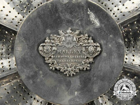 Grand Cross Breast Star (with 8 rays) (Gold by Halley) Reverse Detail