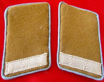 NSDAP Mitarbeiter Type III Ort Level Collar Tabs Obverse