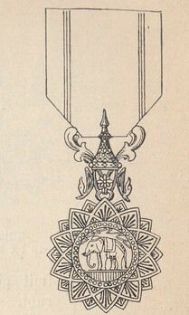 Type II, Badge, II Class 