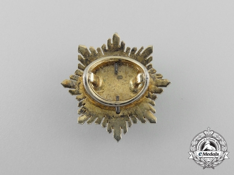 Miniature 3rd Class Breast Star (silver gilt) Reverse