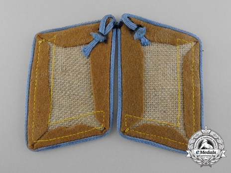 NSDAP Blockleiter Type III Ort Level Collar Tabs Reverse