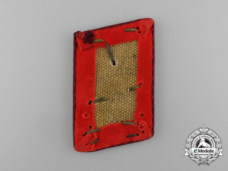 NSDAP Haupt-Dienstleiter Type IV Gau Level Collar Tabs Reverse
