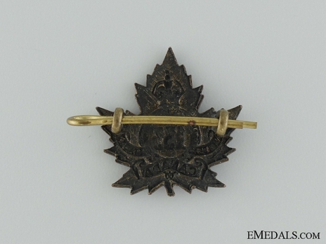 133rd Infantry Battalion Other Ranks Collar Badge Reverse