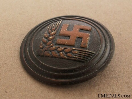 RADwJ 1939 Maidenunterführerin Rank Brooch Obverse