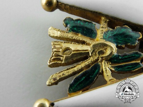 Officer (Gold) Details