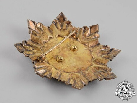 Order of Prince Pribina, I Class Grand Cross Breast Star Reverse