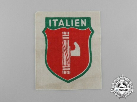 Italy Sleeve Insignia (2nd version) Obverse