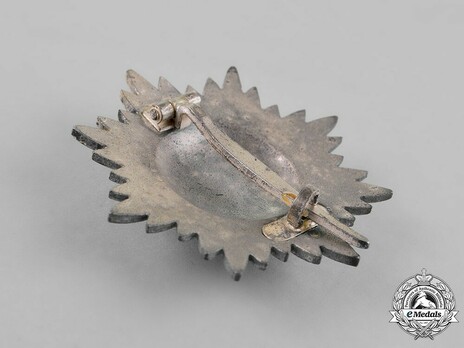I Class in Silver Reverse
