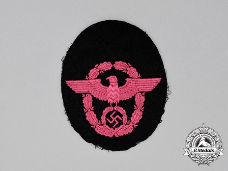Firefighters Enlisted Ranks Blue Uniform Volunteers Sleeve Eagle Obverse