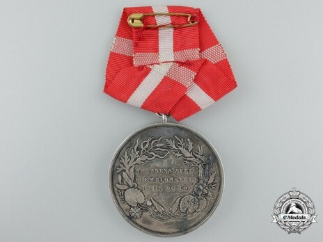 Medal for Saving Life from Drowning, in Silver, Type V Reverse